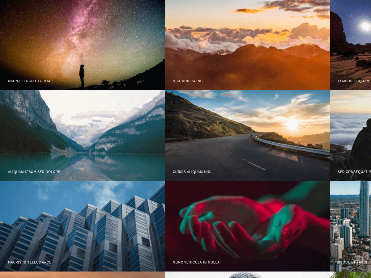 Multiverse