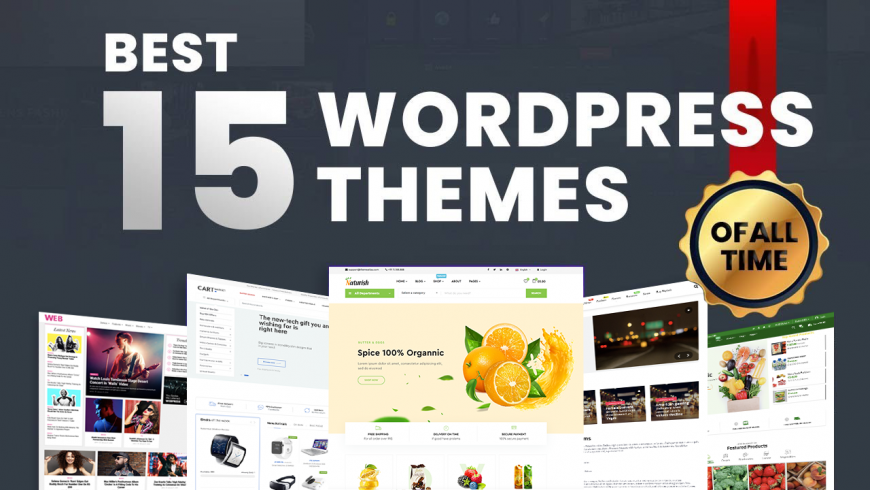 Get The Best Themes For Your Website Get The Best Themes For Your Website