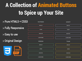 Animated CSS3