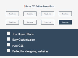 Button Hover Effects